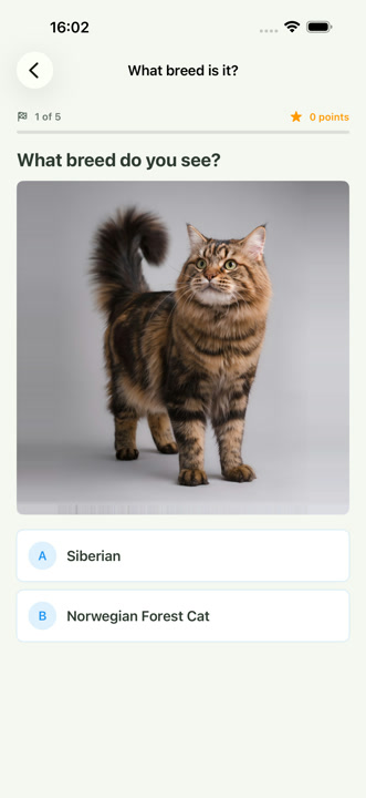 Dog or cat breed recognition with HeyArgo Premium